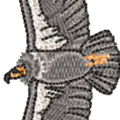 WO352 Thumbnail